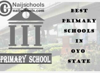 11 of the Best Primary Schools to Attend in Oyo State Nigeria | No. 7’s Top-Notch