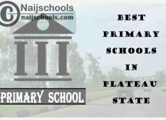 11 of the Best Primary Schools to Attend in Plateau State Nigeria | No. 7’s Top-Notch