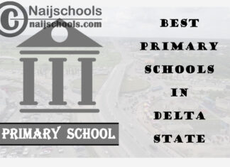 11 of the Best Primary Schools to Attend in Delta State Nigeria | No. 8’s Top-Notch