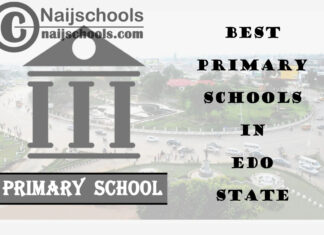 11 of the Best Primary Schools to Attend in Edo State Nigeria | No. 5’s Top-Notch