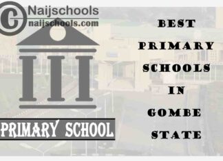 11 of the Best Primary Schools to Attend in Gombe State Nigeria | No. 8’s Top-Notch