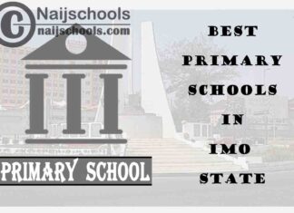 11 of the Best Primary Schools to Attend in Imo State Nigeria | No. 5’s Top-Notch