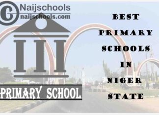 11 of the Best Primary Schools to Attend in Niger State Nigeria | No. 4’s Top-Notch
