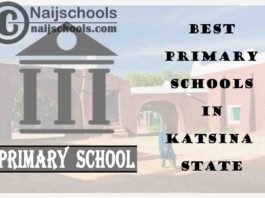 11 of the Best Primary Schools to Attend in Katsina State Nigeria | No. 9’s Top-Notch