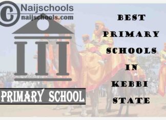 11 of the Best Primary Schools to Attend in Kebbi State Nigeria | No. 9’s Top-Notch