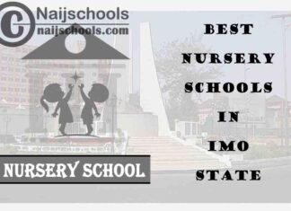 11 of the Best Nursery Schools in Imo State Nigeria | No. 4’s the Best
