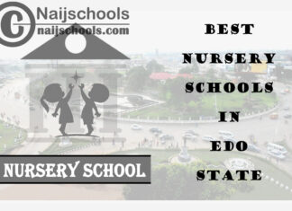 11 of the Best Nursery Schools in Edo State | No. 9’s the Best