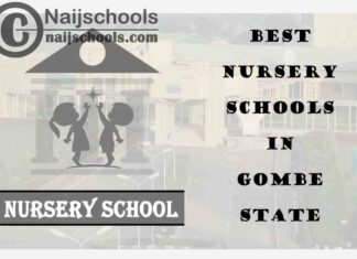 11 of the Best Nursery Schools in Gombe State | No. 4’s the Best