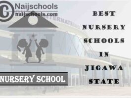 11 of the Best Nursery Schools in Jigawa State Nigeria | No. 8’s the Best