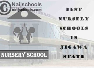 11 of the Best Nursery Schools in Jigawa State Nigeria | No. 8’s the Best