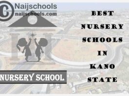 11 of the Best Nursery Schools in kano State Nigeria | No. 9’s the Best
