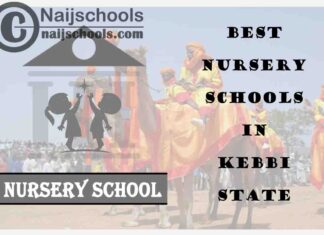 11 of the Best Nursery Schools in kebbi State Nigeria | No. 4’s the Best
