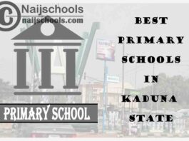 11 of the Best Primary Schools to Attend in Kaduna State Nigeria | No. 7’s Top-Notch
