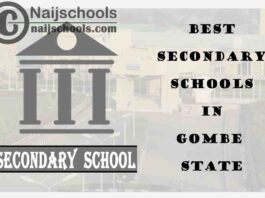 15 of the Best Secondary Schools to Attend in Gombe State Nigeria | No. 7’s the Best