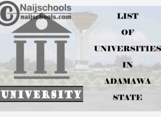 Full List of Federal, State & Private Universities in Adamawa State Nigeria