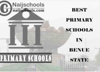 11 of the Best Primary Schools to Attend in Benue State Nigeria | No. 6’s Top-Notch