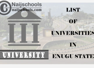 Full List of Federal, State & Private Universities in Enugu State Nigeria