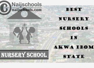 11 of the Best Nursery Schools in Akwa Ibom State Nigeria | No. 7's the Best