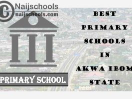 11 of the Best Primary Schools to Attend in Akwa Ibom State Nigeria | No. 8's Top-Notch