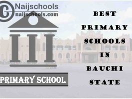 11 of the Best Primary Schools to Attend in Bauchi State | No. 4’s the Best