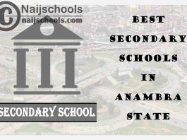 13 of the Best Secondary Schools to Attend in Anambra State Nigeria | No. 9’s the Best