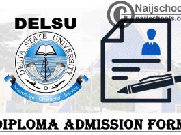 Delta State University (DELSU) Diploma Programmes Admission Form for 2021/2022 Academic Session | APPLY NOW