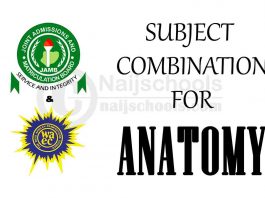 JAMB and WAEC (O' Level) Subject Combination for Anatomy