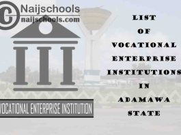 Full List of Vocational Enterprise Institutions in Adamawa State Nigeria