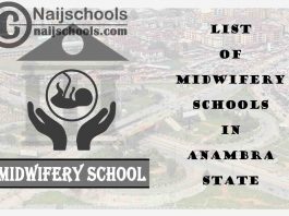 Full List of Accredited Basic & Post Basic Midwifery Schools in Anambra State Nigeria