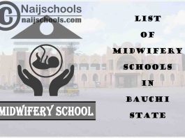 Full List of Accredited Midwifery Schools in Bauchi State Nigeria