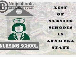 Complete List of Accredited Nursing Schools in Anambra State Nigeria