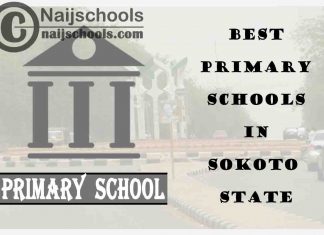 11 of the Best Primary Schools to Attend in Sokoto State Nigeria | No. 5’s Top-Notch