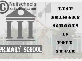 11 of the Best Primary Schools to Attend in Yobe State Nigeria | No. 6’s Top-Notch
