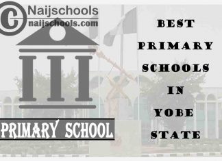 11 of the Best Primary Schools to Attend in Yobe State Nigeria | No. 6’s Top-Notch