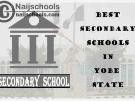 13 of the Best Secondary Schools to Attend in Yobe State Nigeria | No. 7’s the Best