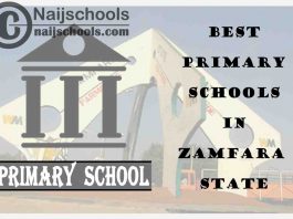 11 of the Best Primary Schools to Attend in Zamfara State Nigeria | No. 3’s Top-Notch