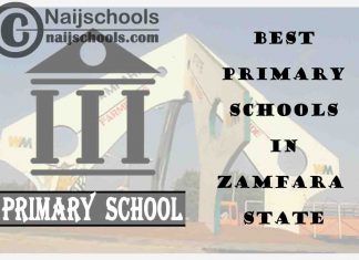 11 of the Best Primary Schools to Attend in Zamfara State Nigeria | No. 3’s Top-Notch