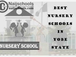 11 of the Best Nursery Schools in Yobe State Nigeria | No. 8’s the Best