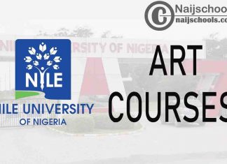 Art Courses offered in Nile University of Nigeria