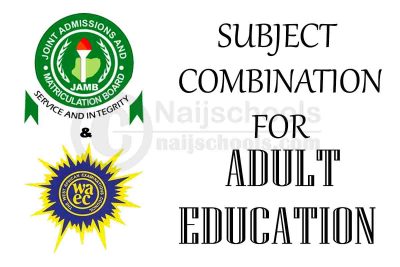 Subject Combination for Adult Education
