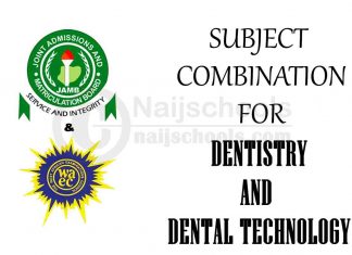 Subject Combination for Dentistry and Dental Technology