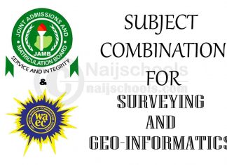 Subject Combination for Surveying and Geo-Informatics