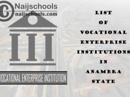 Full List of Vocational Enterprise Institutions in Anambra State Nigeria