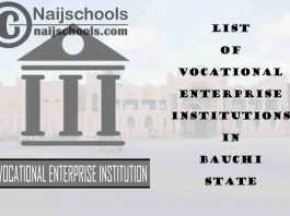 Full List of Vocational Enterprise Institutions in Bauchi State Nigeria