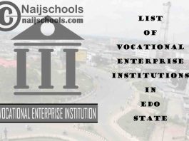 Full List of Vocational Enterprise Institutions in Edo State Nigeria