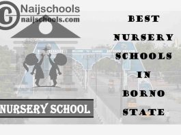 11 of the Best Nursery Schools in Borno State | No. 4’s the Best