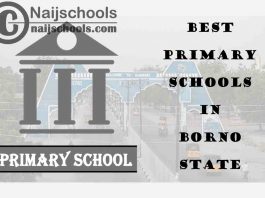 11 of the Best Primary Schools to Attend in Borno State Nigeria | No. 8’s Top-Notch