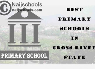 11 of the Best Primary Schools to Attend in Cross River State Nigeria | No. 7’s Top-Notch