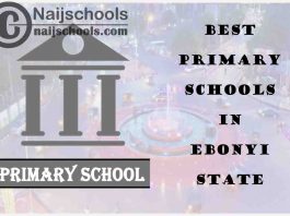 11 of the Best Primary Schools to Attend in Ebonyi State Nigeria | No. 9’s Top-Notch