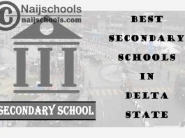 Top 157 Best Secondary Schools in Delta State Nigeria | No. 47's Top Notch